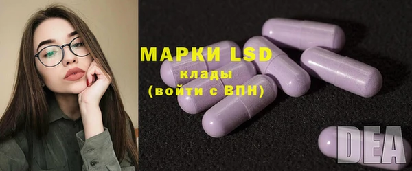 PSILOCYBIN Горняк