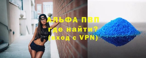 PSILOCYBIN Горняк