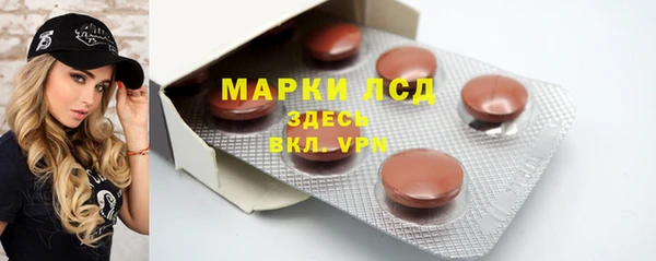 PSILOCYBIN Горняк