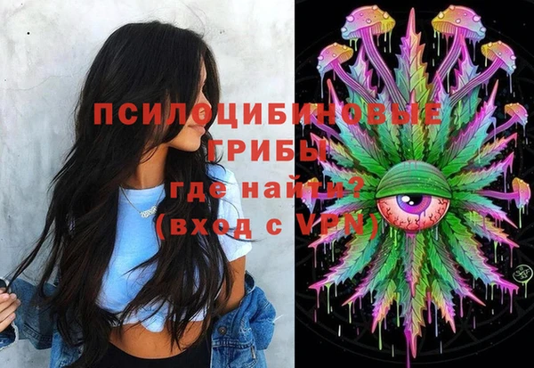PSILOCYBIN Горняк