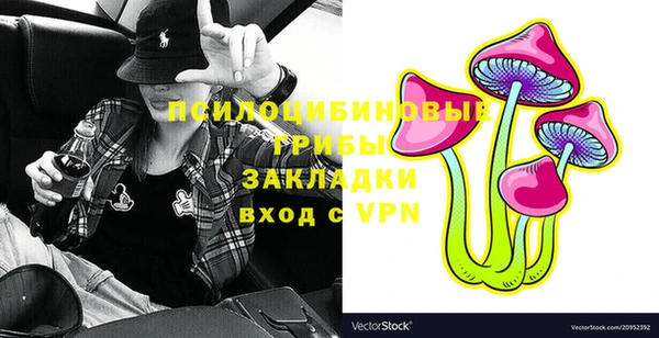 не бодяженный Горнозаводск