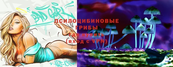 не бодяженный Горнозаводск