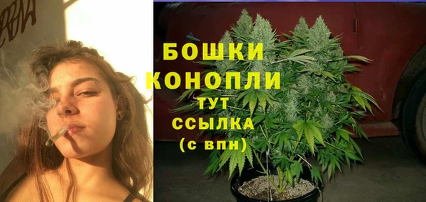 PSILOCYBIN Горняк