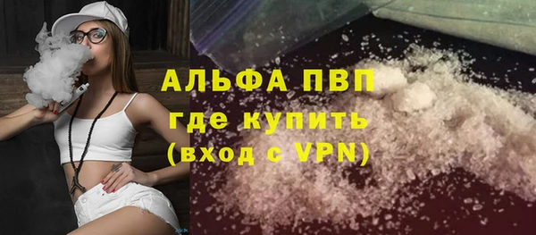 PSILOCYBIN Горняк